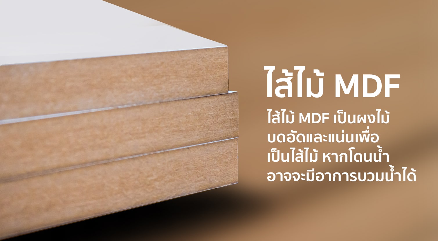 ไส้ไม้MDF-3 | thaiplywood